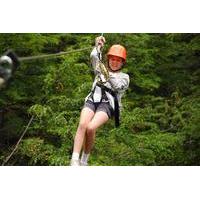 Cerro Lopez Zipline Adventure from Bariloche