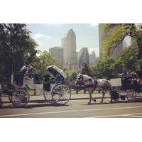 Central Park Date: Horse Carriage Ride with Tavern on the Green Dining Experience