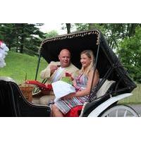 Central Park Carriage Ride and Marriage Proposal