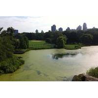 Central Park Walking Tour in New York City