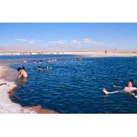 Cejar Lagoon Half-Day Tour from San Pedro de Atacama