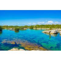 cenotes and paradise lagoon with snorkeling from playa del carmen