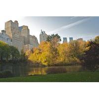 Central Park Fall Foliage Private Tour