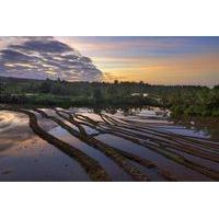 Cempaka Belimbing Villas