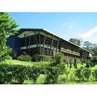 Celeste Mountain Lodge