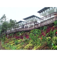 Celyn Resort Kinabalu