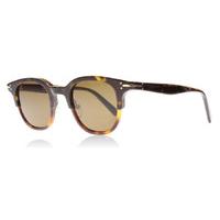 celine erin sunglasses dark havana t6u