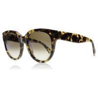 Celine 41755 Sunglasses Havana / Honey 3Y7X9