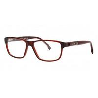 Cerruti Eyeglasses CE6074 C03