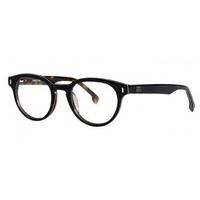 cerruti eyeglasses ce6033 c00