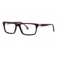 Cerruti Eyeglasses CE6060 C23