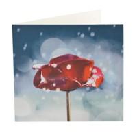 Ceramic Poppy Christmas Cards