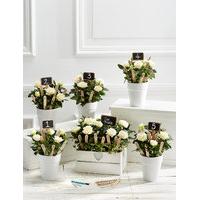 celebration table plan ivory