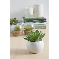 Ceramic Planter Faux Succulent Plant, GREEN