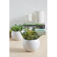 Ceramic Planter Faux Dark Succulent Plant, ASSORTED