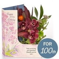 Centenary Orchids