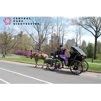 central park sightseeing central park horse carriage tour 20 minutes