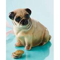 Ceramic Pug Money Box