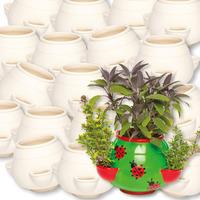 Ceramic Herb Planters Bulk Pack (Pack of 30)