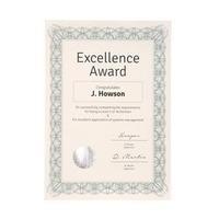 Certificate Papers (A4) with Foil Seals 90gsm Green Wave Pack of 30