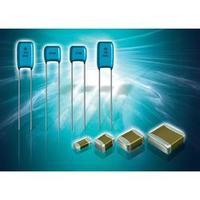 Ceramic capacitor Radial lead 100 pF 100 V 5 % (L x W) 5 mm x 3.5 mm Murata RPE5C2A101J2S1A03A 1 pc(s)