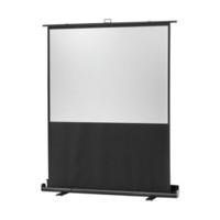 Celexon Ultramobil Plus Professional 160x120