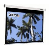 Celexon Electric Professional 160x120