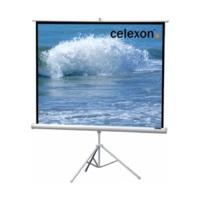 celexon stativ economy 244 x 244 white edition