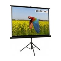 Celexon Stativ Economy 176 x 132