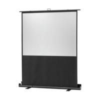 celexon mobile professional 120 x 90