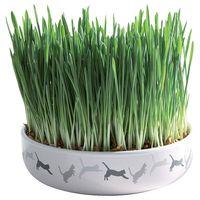 Ceramic Cat Grass Bowl - Bowl + 50g Seed