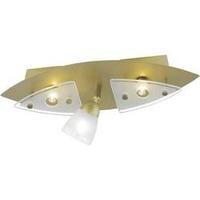 Ceiling floodlight HV halogen G9 64 W Paul Neuhaus Vina 6670-11 Steel