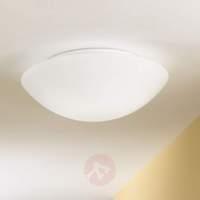 Ceiling and wall light PANDORA 36 cm