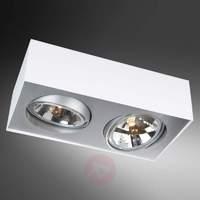 Ceiling spotlight Bloq 2-bulb