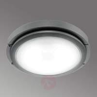 Ceiling lamp MAGICLICK 50, anthracite