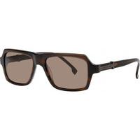 Cerruti Sunglasses CE8053 C22