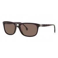 Cerruti Sunglasses CE8042 C23