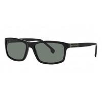 Cerruti Sunglasses CE8040 C10