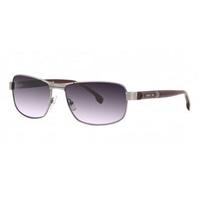 Cerruti Sunglasses CE8050 C20