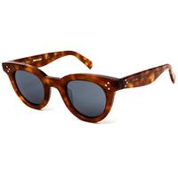 celine sunglasses cl 41375s anna teng8