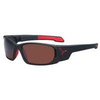 cebe sunglasses scape small cbscap3s