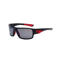 cebe sunglasses whisper polarized cbwhisp4