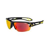 cebe sunglasses strack medium cbstm4