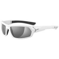 cebe sunglasses s teem polarized cbsteem5