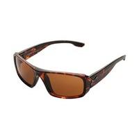 cebe sunglasses expedition cbexpe2