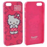 Character iPhone 5 Case