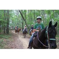 Children\'s Holiday Camp with Horse Riding near Budapest