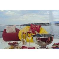 champagne private tour on catamaran terrasse in geneva