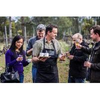 chef led hunter valley gourmet food and wine day trip from sydney