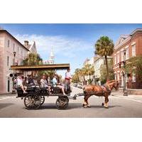 charlestons old south carriage historic tour